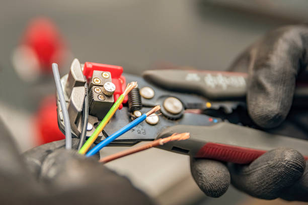 Best Electrical Wiring Services  in Morrice, MI