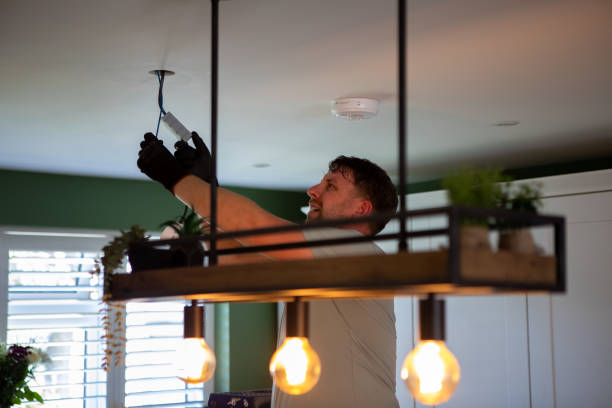 Best Electrician for Home Renovation  in Morrice, MI