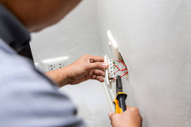 Best Electrical Rewiring Services  in Morrice, MI
