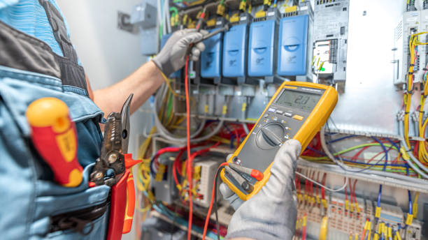 Best Electrical Upgrades for Homes  in Morrice, MI